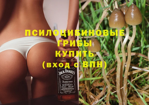 амф Магас