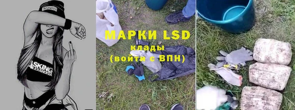 гашик Мегион