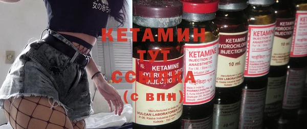 гашик Мегион