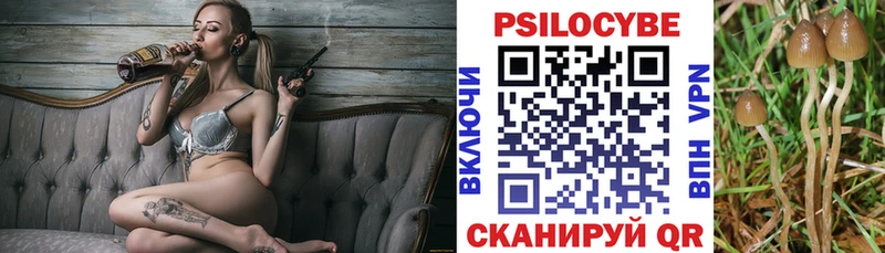 Псилоцибиновые грибы ЛСД  Шацк 